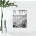 Picture of Green house IV _GroupedProduct_Rectangle_Portrait_Photography _GroupedProduct_Rectangle_Portrait_Unframed_Print_Only_