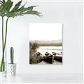 Picture of Beached Canoe _GroupedProduct_Rectangle_Portrait_Photography _GroupedProduct_Rectangle_Portrait_Unframed_Print_Only_