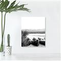 Picture of Beached Canoe _GroupedProduct_Rectangle_Portrait_Photography _GroupedProduct_Rectangle_Portrait_Unframed_Print_Only_
