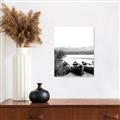 Picture of Beached Canoe _GroupedProduct_Rectangle_Portrait_Photography _GroupedProduct_Rectangle_Portrait_Unframed_Print_Only_