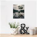 Picture of Tree Reflection _GroupedProduct_Rectangle_Portrait_Photography _GroupedProduct_Rectangle_Portrait_Unframed_Print_Only_