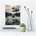 Picture of Tree Reflection _GroupedProduct_Rectangle_Portrait_Photography _GroupedProduct_Rectangle_Portrait_Unframed_Print_Only_