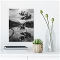 Picture of Tree Reflection _GroupedProduct_Rectangle_Portrait_Photography _GroupedProduct_Rectangle_Portrait_Unframed_Print_Only_