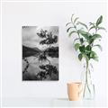 Picture of Tree Reflection _GroupedProduct_Rectangle_Portrait_Photography _GroupedProduct_Rectangle_Portrait_Unframed_Print_Only_