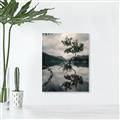 Picture of Tree Reflection _GroupedProduct_Rectangle_Portrait_Photography _GroupedProduct_Rectangle_Portrait_Unframed_Print_Only_
