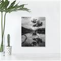 Picture of Tree Reflection _GroupedProduct_Rectangle_Portrait_Photography _GroupedProduct_Rectangle_Portrait_Unframed_Print_Only_