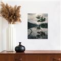 Picture of Tree Reflection _GroupedProduct_Rectangle_Portrait_Photography _GroupedProduct_Rectangle_Portrait_Unframed_Print_Only_