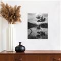 Picture of Tree Reflection _GroupedProduct_Rectangle_Portrait_Photography _GroupedProduct_Rectangle_Portrait_Unframed_Print_Only_