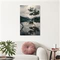 Picture of Tree Reflection _GroupedProduct_Rectangle_Portrait_Photography _GroupedProduct_Rectangle_Portrait_Unframed_Print_Only_