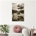 Picture of Tree Reflection _GroupedProduct_Rectangle_Portrait_Photography _GroupedProduct_Rectangle_Portrait_Unframed_Print_Only_
