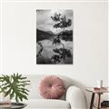 Picture of Tree Reflection _GroupedProduct_Rectangle_Portrait_Photography _GroupedProduct_Rectangle_Portrait_Unframed_Print_Only_