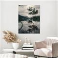 Picture of Tree Reflection _GroupedProduct_Rectangle_Portrait_Photography _GroupedProduct_Rectangle_Portrait_Unframed_Print_Only_