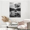 Picture of Tree Reflection _GroupedProduct_Rectangle_Portrait_Photography _GroupedProduct_Rectangle_Portrait_Unframed_Print_Only_