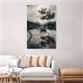 Picture of Tree Reflection _GroupedProduct_Rectangle_Portrait_Photography _GroupedProduct_Rectangle_Portrait_Unframed_Print_Only_