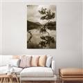 Picture of Tree Reflection _GroupedProduct_Rectangle_Portrait_Photography _GroupedProduct_Rectangle_Portrait_Unframed_Print_Only_