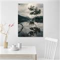 Picture of Tree Reflection _GroupedProduct_Rectangle_Portrait_Photography _GroupedProduct_Rectangle_Portrait_Unframed_Print_Only_