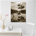 Picture of Tree Reflection _GroupedProduct_Rectangle_Portrait_Photography _GroupedProduct_Rectangle_Portrait_Unframed_Print_Only_