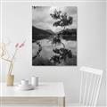 Picture of Tree Reflection _GroupedProduct_Rectangle_Portrait_Photography _GroupedProduct_Rectangle_Portrait_Unframed_Print_Only_