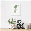 Picture of Dewey leaves _GroupedProduct_Rectangle_Portrait_Photography _GroupedProduct_Rectangle_Portrait_Unframed_Print_Only_