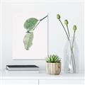 Picture of Dewey leaves _GroupedProduct_Rectangle_Portrait_Photography _GroupedProduct_Rectangle_Portrait_Unframed_Print_Only_