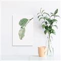 Picture of Dewey leaves _GroupedProduct_Rectangle_Portrait_Photography _GroupedProduct_Rectangle_Portrait_Unframed_Print_Only_