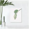 Picture of Dewey leaves _GroupedProduct_Rectangle_Portrait_Photography _GroupedProduct_Rectangle_Portrait_Unframed_Print_Only_