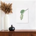 Picture of Dewey leaves _GroupedProduct_Rectangle_Portrait_Photography _GroupedProduct_Rectangle_Portrait_Unframed_Print_Only_