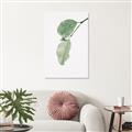 Picture of Dewey leaves _GroupedProduct_Rectangle_Portrait_Photography _GroupedProduct_Rectangle_Portrait_Unframed_Print_Only_