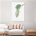 Picture of Dewey leaves _GroupedProduct_Rectangle_Portrait_Photography _GroupedProduct_Rectangle_Portrait_Unframed_Print_Only_
