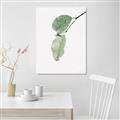 Picture of Dewey leaves _GroupedProduct_Rectangle_Portrait_Photography _GroupedProduct_Rectangle_Portrait_Unframed_Print_Only_