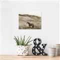 Picture of Mustard Grass Horse _GroupedProduct_Rectangle_Landscape_Photography _GroupedProduct_Rectangle_Landscape_Unframed_Print_Only_