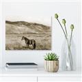 Picture of Mustard Grass Horse _GroupedProduct_Rectangle_Landscape_Photography _GroupedProduct_Rectangle_Landscape_Unframed_Print_Only_