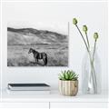 Picture of Mustard Grass Horse _GroupedProduct_Rectangle_Landscape_Photography _GroupedProduct_Rectangle_Landscape_Unframed_Print_Only_