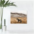 Picture of Mustard Grass Horse _GroupedProduct_Rectangle_Landscape_Photography _GroupedProduct_Rectangle_Landscape_Unframed_Print_Only_
