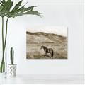Picture of Mustard Grass Horse _GroupedProduct_Rectangle_Landscape_Photography _GroupedProduct_Rectangle_Landscape_Unframed_Print_Only_