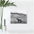 Picture of Mustard Grass Horse _GroupedProduct_Rectangle_Landscape_Photography _GroupedProduct_Rectangle_Landscape_Unframed_Print_Only_