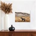 Picture of Mustard Grass Horse _GroupedProduct_Rectangle_Landscape_Photography _GroupedProduct_Rectangle_Landscape_Unframed_Print_Only_