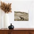 Picture of Mustard Grass Horse _GroupedProduct_Rectangle_Landscape_Photography _GroupedProduct_Rectangle_Landscape_Unframed_Print_Only_