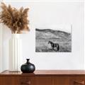 Picture of Mustard Grass Horse _GroupedProduct_Rectangle_Landscape_Photography _GroupedProduct_Rectangle_Landscape_Unframed_Print_Only_