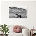 Picture of Mustard Grass Horse _GroupedProduct_Rectangle_Landscape_Photography _GroupedProduct_Rectangle_Landscape_Unframed_Print_Only_