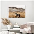 Picture of Mustard Grass Horse _GroupedProduct_Rectangle_Landscape_Photography _GroupedProduct_Rectangle_Landscape_Unframed_Print_Only_