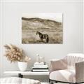 Picture of Mustard Grass Horse _GroupedProduct_Rectangle_Landscape_Photography _GroupedProduct_Rectangle_Landscape_Unframed_Print_Only_