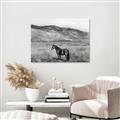 Picture of Mustard Grass Horse _GroupedProduct_Rectangle_Landscape_Photography _GroupedProduct_Rectangle_Landscape_Unframed_Print_Only_