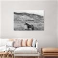 Picture of Mustard Grass Horse _GroupedProduct_Rectangle_Landscape_Photography _GroupedProduct_Rectangle_Landscape_Unframed_Print_Only_