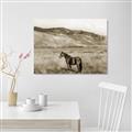 Picture of Mustard Grass Horse _GroupedProduct_Rectangle_Landscape_Photography _GroupedProduct_Rectangle_Landscape_Unframed_Print_Only_