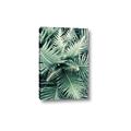 Picture of Green Ferns _GroupedProduct_Rectangle_Portrait_Photography _GroupedProduct_Rectangle_Portrait_Canvas_