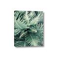 Picture of Green Ferns _GroupedProduct_Rectangle_Portrait_Photography _GroupedProduct_Rectangle_Portrait_Canvas_