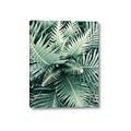 Picture of Green Ferns _GroupedProduct_Rectangle_Portrait_Photography _GroupedProduct_Rectangle_Portrait_Canvas_