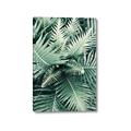Picture of Green Ferns _GroupedProduct_Rectangle_Portrait_Photography _GroupedProduct_Rectangle_Portrait_Canvas_