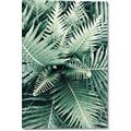 Picture of Green Ferns _GroupedProduct_Rectangle_Portrait_Photography _GroupedProduct_Rectangle_Portrait_Canvas_